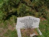 image of grave number 398289